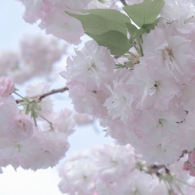 芜湖FurryQQ群介绍